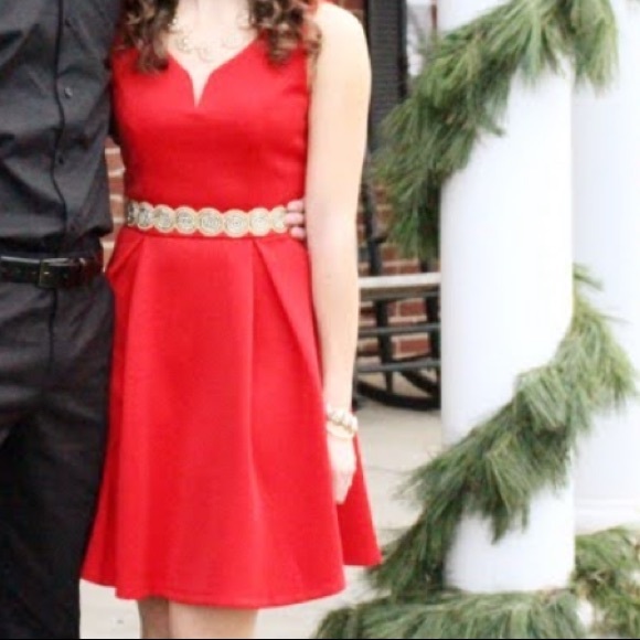 Francesca’s Formal V-Neck Skater Dress - Picture 4 of 4